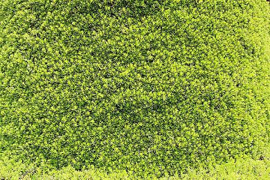 《星球大战：旧共和国武士》Switch版预告 11月11日来袭